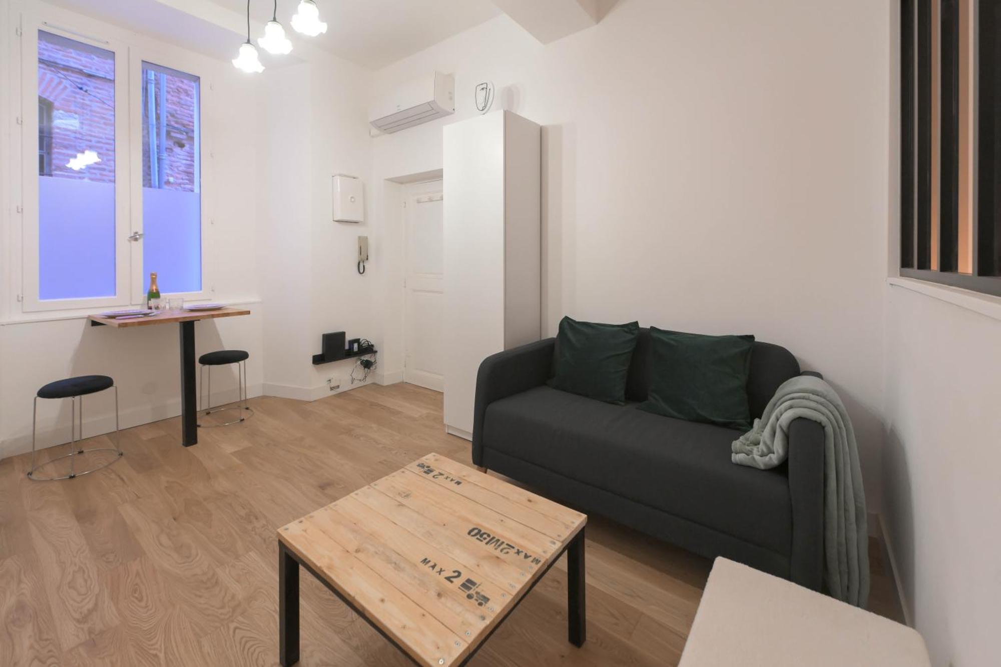 Appartement T1 Bis L'Enfilade Albi Esterno foto